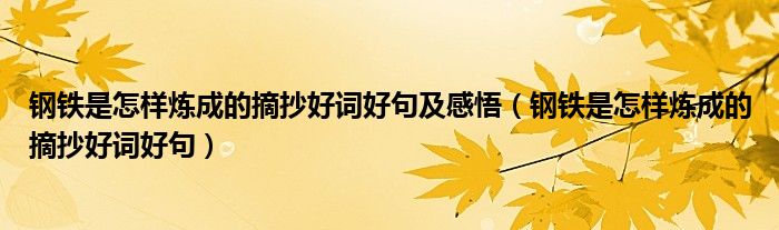钢铁是怎样炼成的摘抄好词好句及感悟(钢铁是怎样炼成的摘抄好词好句)