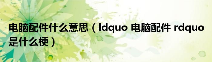 电脑配件什么意思(ldquo 电脑配件 rdquo 是什么梗)