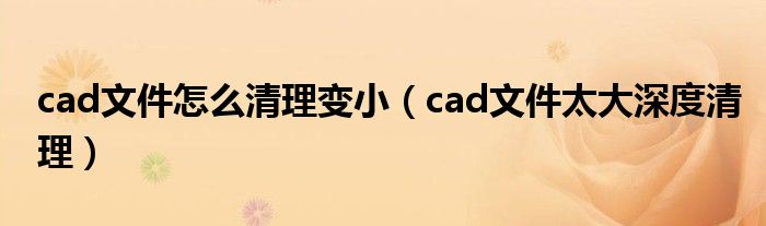 cad文件怎么清理变小(cad文件太大深度清理)