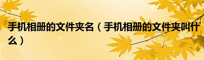 手机相册的文件夹名(手机相册的文件夹叫什么)