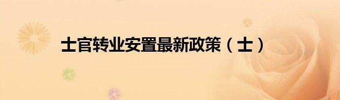 士官转业安置最新政策(士)