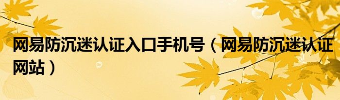 网易防沉迷认证入口手机号(网易防沉迷认证网站)