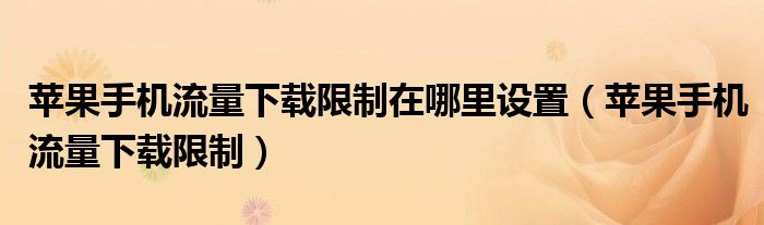 苹果手机流量下载限制在哪里设置(苹果手机流量下载限制)