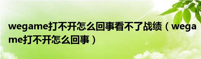 wegame打不开怎么回事看不了战绩(wegame打不开怎么回事)