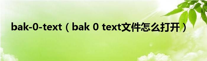 bak-0-text(bak 0 text文件怎么打开)