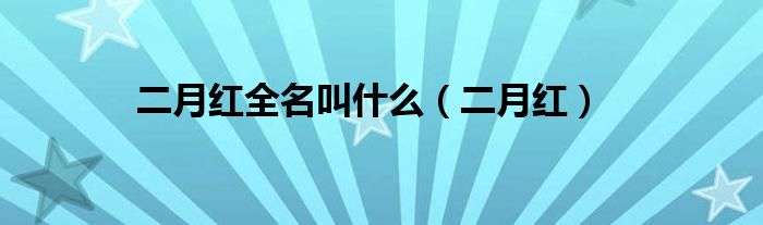 二月红全名叫什么(二月红)