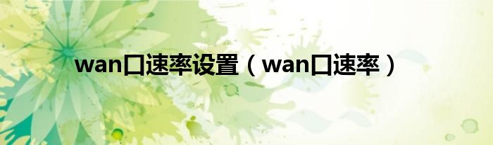 wan口速率设置(wan口速率)