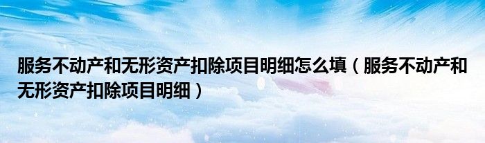 服务不动产和无形资产扣除项目明细怎么填(服务不动产和无形资产扣除项目明细)
