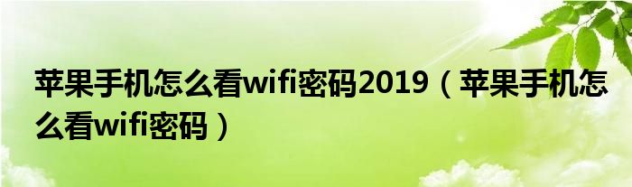 苹果手机怎么看wifi密码2019(苹果手机怎么看wifi密码)