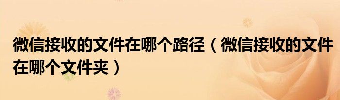 微信接收的文件在哪个路径(微信接收的文件在哪个文件夹)