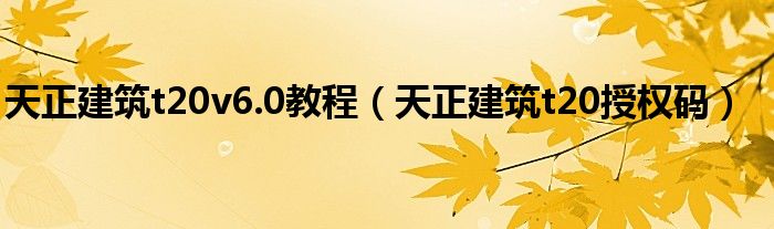 天正建筑t20v6.0教程(天正建筑t20授权码)