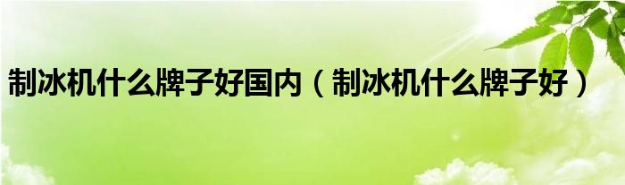 制冰机什么牌子好国内(制冰机什么牌子好)