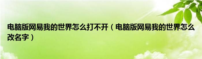 电脑版网易我的世界怎么打不开(电脑版网易我的世界怎么改名字)