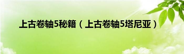 上古卷轴5秘籍(上古卷轴5塔尼亚)