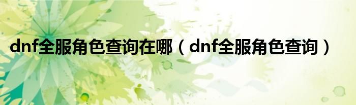 dnf全服角色查询在哪(dnf全服角色查询)
