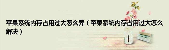 苹果系统内存占用过大怎么弄(苹果系统内存占用过大怎么解决)