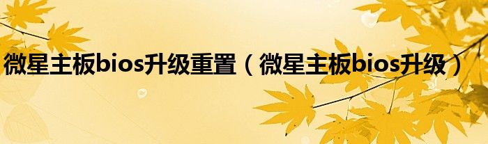 微星主板bios升级重置(微星主板bios升级)