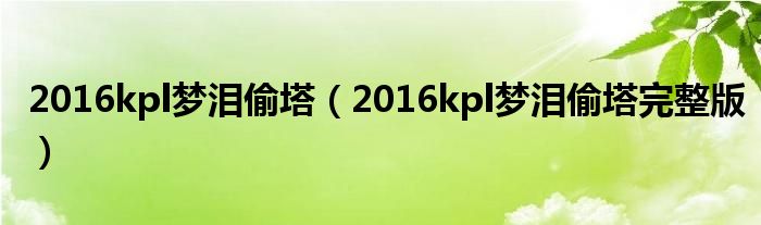 2016kpl梦泪偷塔(2016kpl梦泪偷塔完整版)