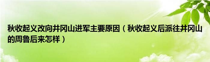 秋收起义改向井冈山进军主要原因(秋收起义后派往井冈山的周鲁后来怎样)