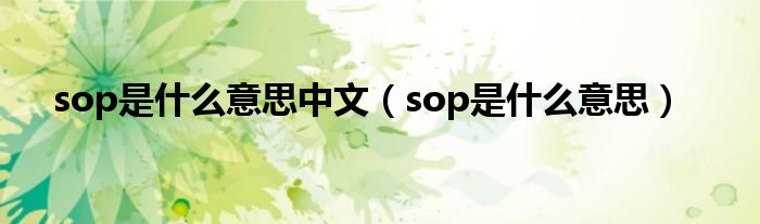 sop是什么意思中文（sop是什么意思）