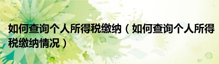 如何查询个人所得税缴纳(如何查询个人所得税缴纳情况)