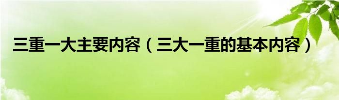 三重一大主要内容(三大一重的基本内容)