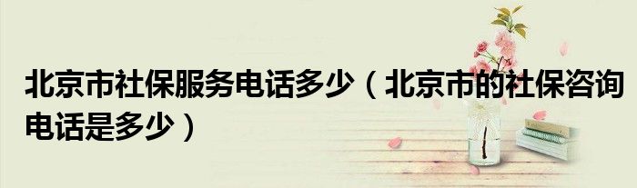 北京市社保服务电话多少(北京市的社保咨询电话是多少)