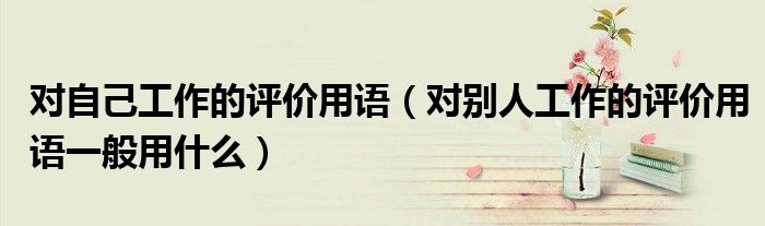 对自己工作的评价用语(对别人工作的评价用语一般用什么)