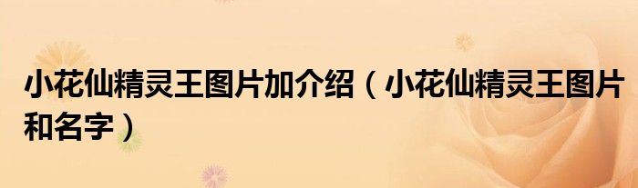 小花仙精灵王图片加介绍(小花仙精灵王图片和名字)
