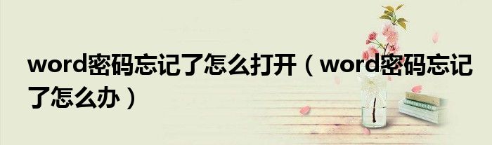 word密码忘记了怎么打开(word密码忘记了怎么办)