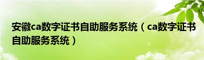 安徽ca数字证书自助服务系统(ca数字证书自助服务系统)