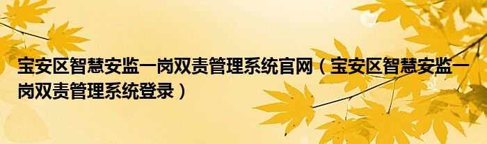 宝安区智慧安监一岗双责管理系统官网(宝安区智慧安监一岗双责管理系统登录)