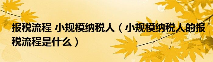 报税流程 小规模纳税人(小规模纳税人的报税流程是什么)