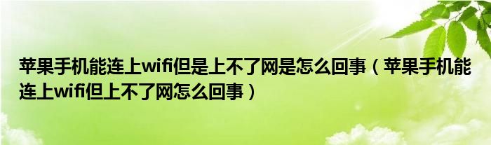 苹果手机能连上wifi但是上不了网是怎么回事(苹果手机能连上wifi但上不了网怎么回事)