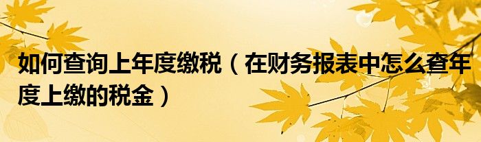 如何查询上年度缴税（在财务报表中怎么查年度上缴的税金）