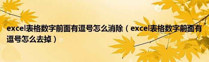 excel表格数字前面有逗号怎么消除(excel表格数字前面有逗号怎么去掉)
