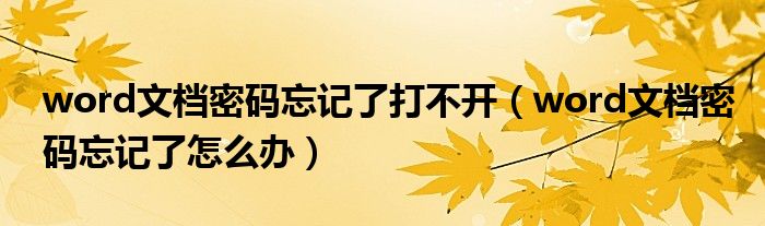 word文档密码忘记了打不开(word文档密码忘记了怎么办)