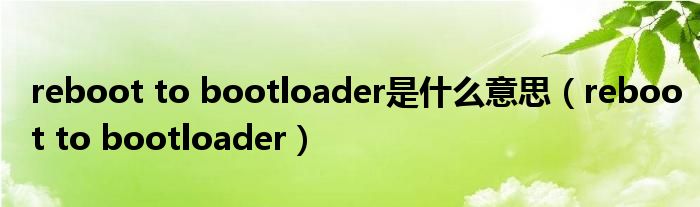 reboot to bootloader是什么意思(reboot to bootloader)