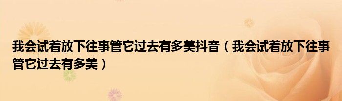 我会试着放下往事管它过去有多美抖音（我会试着放下往事管它过去有多美）