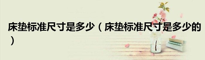 床垫标准尺寸是多少（床垫标准尺寸是多少的）