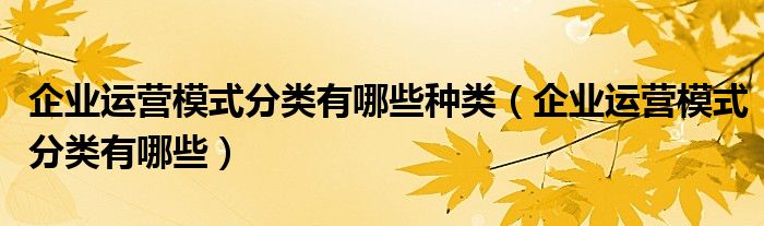 企业运营模式分类有哪些种类(企业运营模式分类有哪些)