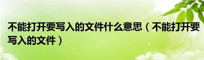 不能打开要写入的文件什么意思(不能打开要写入的文件)