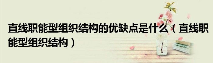直线职能型组织结构的优缺点是什么（直线职能型组织结构）