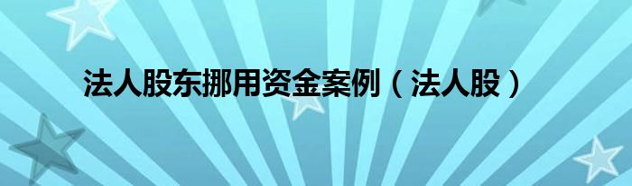 法人股东挪用资金案例(法人股)