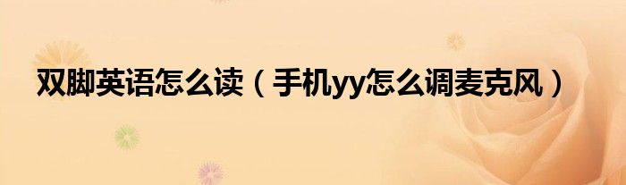双脚英语怎么读(手机yy怎么调麦克风)