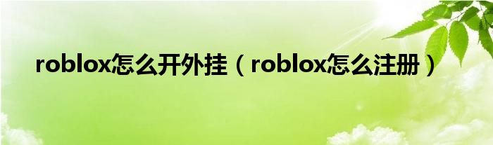 roblox怎么开外挂(roblox怎么注册)