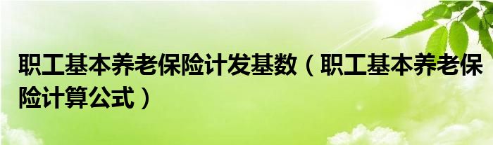 职工基本养老保险计发基数(职工基本养老保险计算公式)