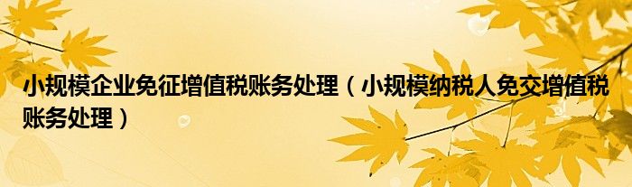 小规模企业免征增值税账务处理（小规模纳税人免交增值税账务处理）
