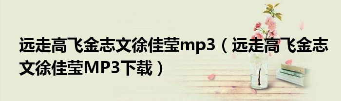 远走高飞金志文徐佳莹mp3（远走高飞金志文徐佳莹MP3下载）