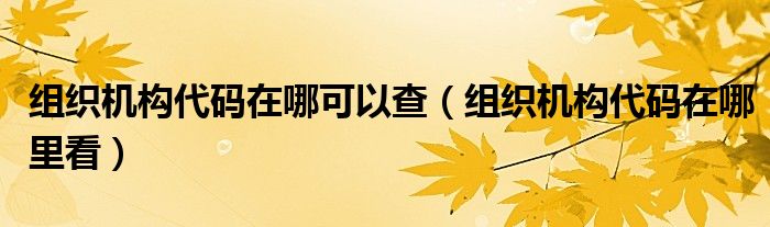 组织机构代码在哪可以查(组织机构代码在哪里看)